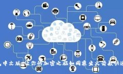 ETH钱包中文版：让你的加密之旅如同乘坐火箭般