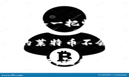 莱特币钱包：锁住数字财富的安全密码

在数字货币逐渐成为人们投资与交易新选择的时代，莱特币（Litecoin）作为一种备受欢迎的加密货币，其钱包的设置安全性也成为了用户关注的重点。那么，莱特币钱包到底需要设置密码吗？这个问题就像是在问：“你愿意把钱塞进一个不锁的抽屉吗？”

让我们一起来探讨莱特币钱包设置密码的重要性，以及如何通过安全措施来保护自己的数字财富，免受潜在风险的侵害。

莱特币钱包, 密码设置, 数字货币安全, 加密货币/guanjianci

为什么密码设置至关重要？

在讨论密码设置的必要性时，我们首先要了解莱特币钱包的基本功能。莱特币钱包就像你数字资产的保险箱，一旦你将莱特币存入钱包，就相当于把它们放在了一个虚拟的空间内。若没有适当的安全措施，这些资产就像一只没有盖子的罐子，随时可能被不速之客“翻开”。

回想一下，你能想象使用一个不需要锁的保险箱吗？在数字世界中，安全性更是重中之重。密码是保护自己资产的重要第一道防线。如果一个人能够随意访问你的钱包，轻而易举地转移你的资产，那你辛辛苦苦挣来的财富将何去何从？

如何设置安全密码？

接下来，我们要讨论的是：如何设置一个既安全又易记的密码。密码就好比是大门的钥匙，太简单的密码就如同用易拉罐来打开大门，一碰就开，毫无安全可言。

ul
    li**复杂性**：选择一个复杂的密码，包含字母、数字和特殊字符，长度最好在8位以上。就像你想要制作一杯美味的百事可乐，糖、香料和水缺一不可。/li
    li**不使用个人信息**：避免使用生日、姓名等容易被猜到的信息，这是如同将钥匙挂在门外，方便了陌生人。/li
    li**定期更新**：定期更换密码是强化安全的有效方式，想象一下，就像每过一段时间，你都要给自己的房子重新上一次锁。/li
/ul

莱特币钱包的种类与密码设置

莱特币钱包主要分为热钱包和冷钱包。热钱包通常是在线钱包，便捷但相对脆弱。冷钱包则是离线存储，安全性高但使用不太方便。

对于热钱包，密码的设置显得尤为重要。想象一下，街边的快餐店总是人来人往，顾客很多，但同时小偷也在伺机而动。而冷钱包则如同在一座高山顶上建立的豪宅，防护措施得当，一般小偷可望而不可及。但即使是豪宅，也需要一把牢固的钥匙。

忘记密码怎么办？

谁还没点小烦恼呢？有时候可能你会遇到忘记密码的情况，这就像在电影院买了爆米花，等着看电影却发现钱包不见了。面对这样的窘境，首先要保持冷静，然后检查你有没有设置备用的恢复方式。

ul
    li**备份助记词**：许多钱包在创建时会提供助记词，用以恢复账户。如果你忘记了密码，还可以通过助记词找回。记得像保密文件那样存放，用保险箱锁好！/li
    li**支持服务**：如果没有助记词，可以尝试联系钱包提供商的客户支持，看看他们能否提供帮助，毕竟好的服务就像是热情的好邻居。/li
/ul

提高钱包安全性的其他措施

除了设置强密码外，用户们还可以通过以下措施进一步提升莱特币钱包的安全性，确保自己的数字资产安全如同金库般牢不可破。

ul
    li**启用两步验证**：两步验证就像是在你的大门前放置了一道额外的栏杆，让没有钥匙的坏人无法轻易进入你的家。它为进入账户增加了一个额外步骤，增加了安全性。/li
    li**定期检查账户活动**：就像定期检查房产的安全一样，随时了解账户内的交易信息，发现异常要及时处理。/li
    li**使用冷钱包**：对于大量的莱特币保存在冷钱包中，将其放于离线设备中，极大地降低了网络攻击的风险。/li
/ul

小结：数字财富值得好好守护

在解答“莱特币钱包需要设置密码吗？”这一问题时，我们可以得出明确的结论：当然需要！在这个信息安全形势日益严峻的时代，拨备一把坚固的钥匙，能够为你的数字资产保驾护航。

就像任何一位守护财富的匠人，每个细节都值得重视。设置密码、启用二步验证、使用冷钱包等策略，都是为了确保那些辛苦得来的莱特币不会在睡梦中就被人悄然窜走。

所以，一定要认真思考，给自己的数字钱包上好锁，确保它的安全性。毕竟，守护好财富，才能让我们在未来的数字经济中更从容地前行。记住，安全意识始于心，落实于行！