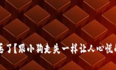 比特币钱包丢了？跟小狗走失一样让人心慌的“