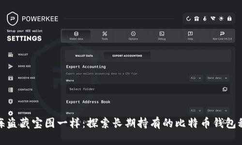 像海盗藏宝图一样：探索长期持有的比特币钱包秘密