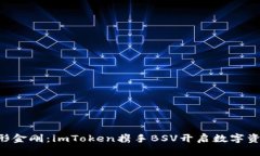 “币圈的变形金刚：imToken携手BSV开启数字资产新