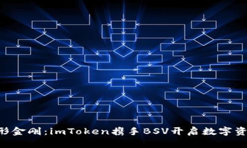 “币圈的变形金刚：imToken携手BSV开启数字资产新纪元！”