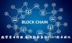 数字货币珍珠：如何轻松查询USDT持币状况