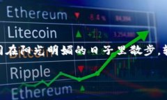 下载imToken钱包的过程其实简单，就像升级你的手