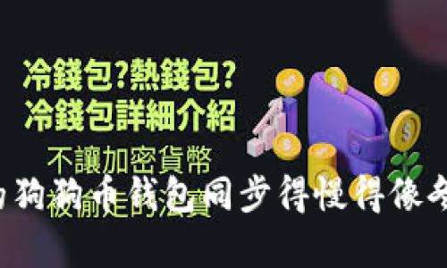 为什么你的狗狗币钱包同步得慢得像冬天的蜗牛？