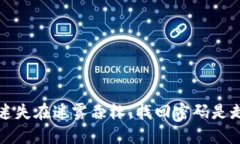 “丢失密码如迷失在迷雾森林，找回密码是走出