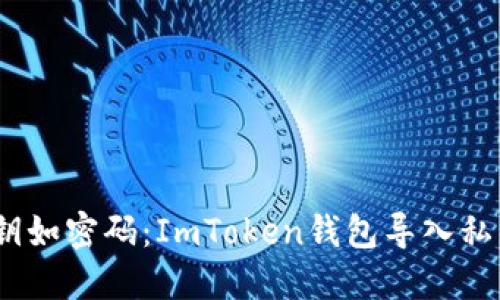 “钱如空气，私钥如密码：ImToken钱包导入私钥的趣味指南”