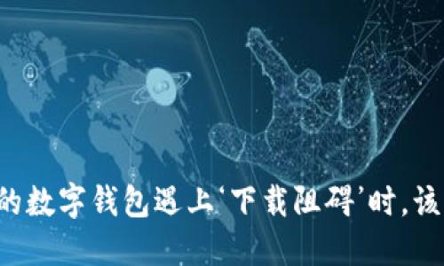 ### “当你的数字钱包遇上‘下载阻碍’时，该如何解锁它？”