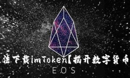 为何苹果手机无法下载imToken？揭开数字货币钱包的神秘面纱