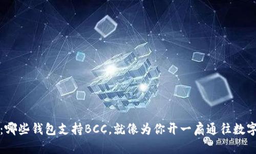 解锁未来：哪些钱包支持BCC，就像为你开一扇通往数字财富的窗