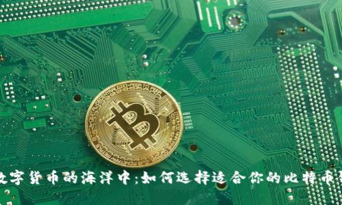 在数字货币的海洋中：如何选择适合你的比特币钱包