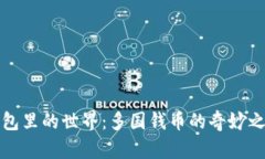 钱包里的世界：多国钱币的奇妙之旅