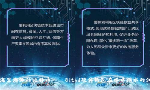 “小心，大海里游泳的比特币——Bithd硬件钱包在水中溺水的江湖传说！”