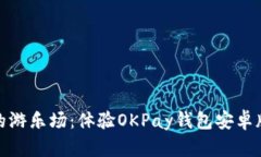 在数字世界的游乐场：体验OKPay钱包安卓版的精彩
