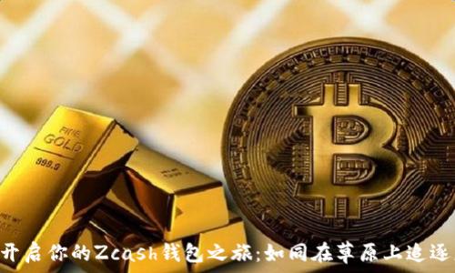   
在Linux上开启你的Zcash钱包之旅：如同在草原上追逐财富的骏马