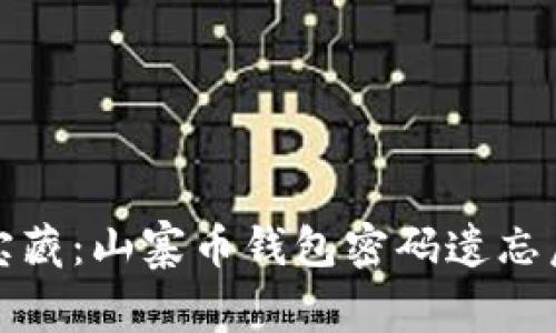 如迷雾中的宝藏：山寨币钱包密码遗忘后的重生之路