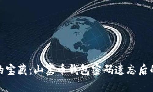 如迷雾中的宝藏：山寨币钱包密码遗忘后的重生之路