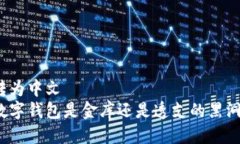转为中文  数字钱包是金库还是透支的黑洞？