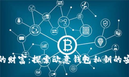 保护你的财富：探索欧意钱包私钥的安全之道