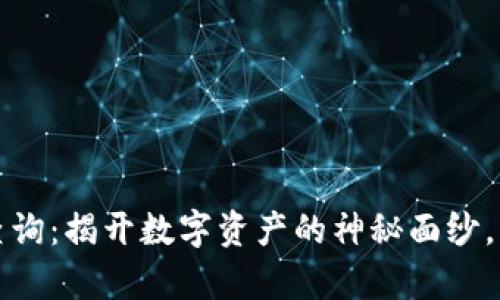 以太钱包持币排行查询：揭开数字资产的神秘面纱，钱包中的财富大比拼