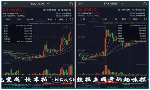 当钱包变成“慢半拍”：HCash数据未同步的趣味探寻之旅