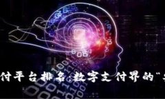 数字货币支付平台排名：数字支付界的“奥斯卡