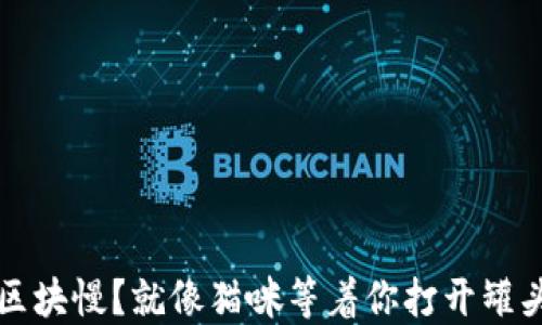 
门罗币钱包同步区块慢？就像猫咪等着你打开罐头那样的耐心挑战