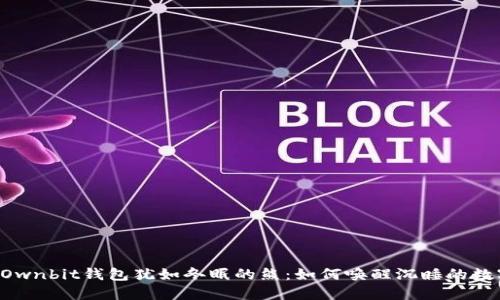 当你的Ownbit钱包犹如冬眠的熊：如何唤醒沉睡的数字资产？