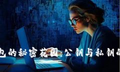 比特币钱包的秘密花园：公钥与私钥的神秘之舞