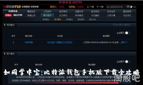 如同掌中宝：比特派钱包手机版下载全攻略