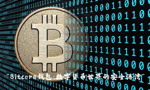 “Bitcore钱包：数字货币世界的安全港湾”