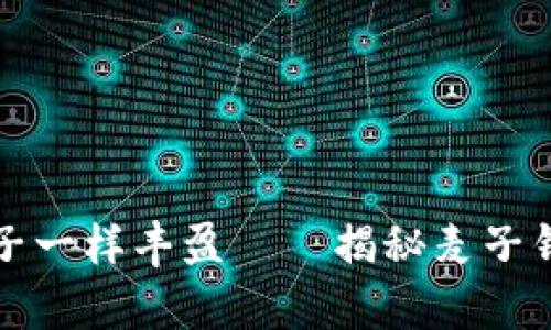 “让钱袋子像麦子一样丰盈——揭秘麦子钱包的数学奥秘”