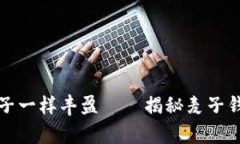 “让钱袋子像麦子一样丰盈——揭秘麦子钱包的