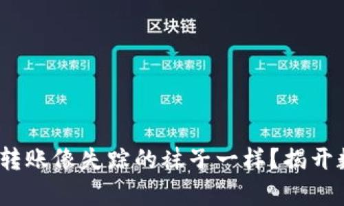 “为什么你的imToken转账像失踪的袜子一样？揭开数字货币转账的奥秘！”