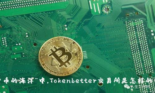 在“数字货币的海洋”中，Tokenbetter交易所是怎样的一条航船？