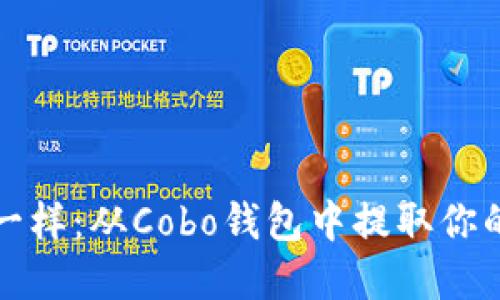像捉小鱼一样：从Cobo钱包中提取你的数字资产