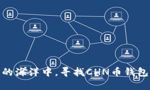 在虚拟货币的海洋中，寻找CHN币钱包节点的灯塔