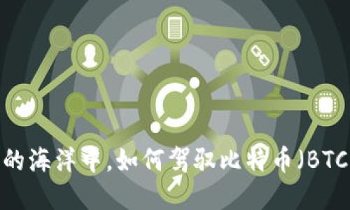 在波涛汹涌的海洋中，如何驾驭比特币（BTC）这艘航船？