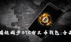 如何有效同步BTC分叉币钱包：全面指南