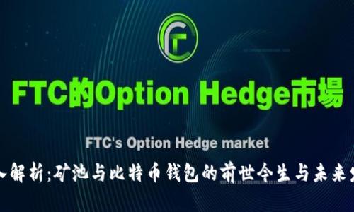 深入解析：矿池与比特币钱包的前世今生与未来发展