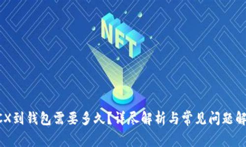 BCX到钱包需要多久？详尽解析与常见问题解答