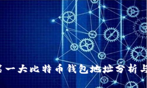 2023年第一大比特币钱包地址分析与投资指南