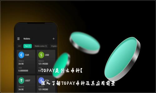 TOPAY是什么币种？

深入了解TOPAY币种及其应用前景