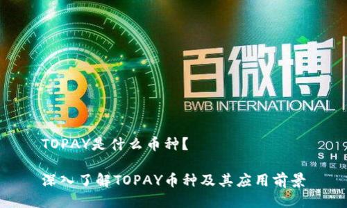 TOPAY是什么币种？

深入了解TOPAY币种及其应用前景