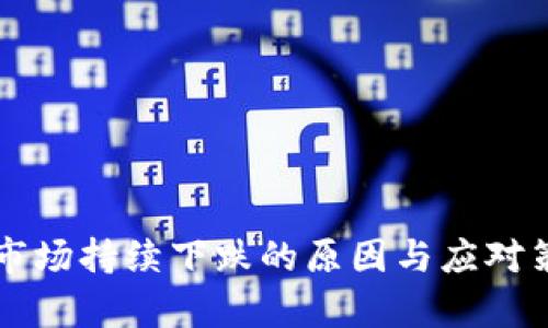 虚拟币市场持续下跌的原因与应对策略分析