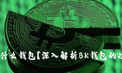 BK钱包是什么钱包？深入解析BK钱包的功能与特点