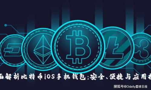 全面解析比特币iOS手机钱包：安全、便捷与应用推荐