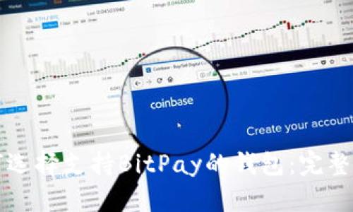 如何选择支持BitPay的钱包：完整指南