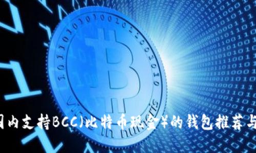 2023年国内支持BCC（比特币现金）的钱包推荐与使用指南