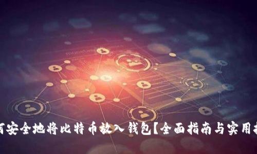 如何安全地将比特币放入钱包？全面指南与实用技巧